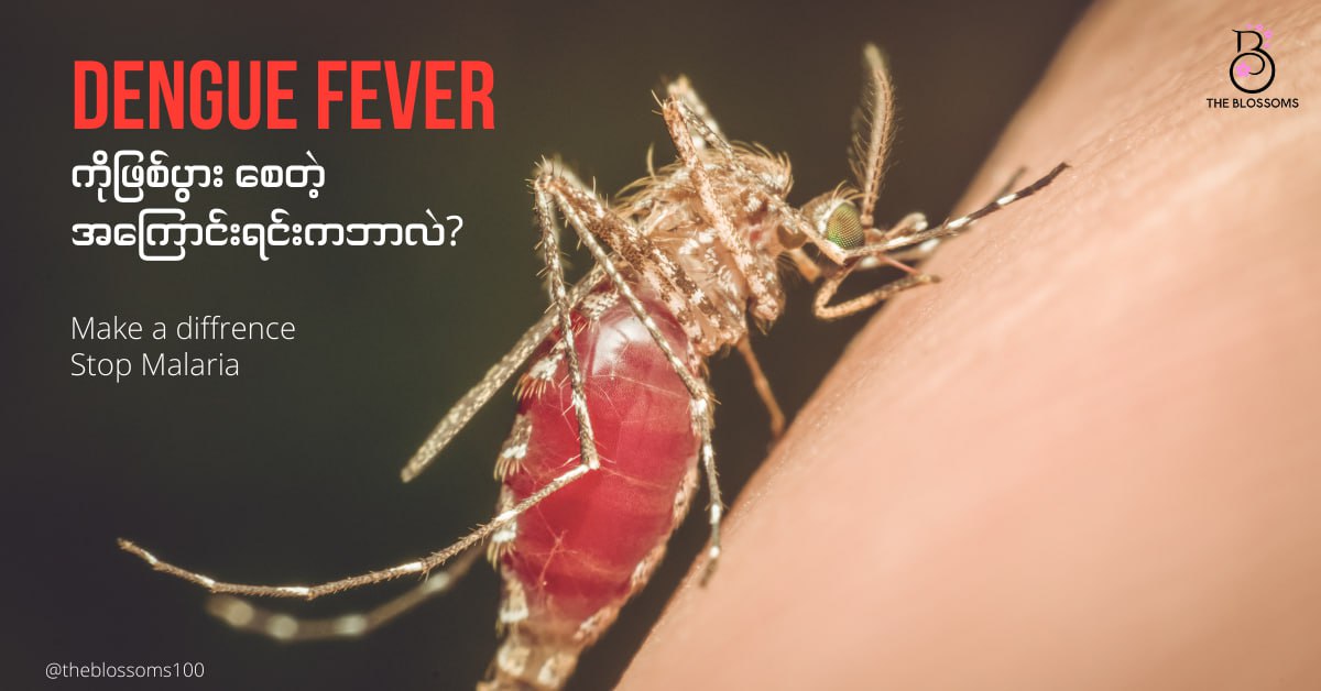 Dengue Fever